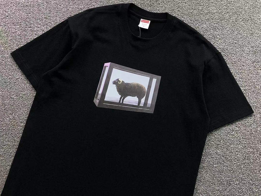 Supreme 78 S⭐⭐R⭐⭐E T-SHIRT 41061015123 (Im 170Cm 60Kg I Wear Size M In The Phot) - Image 9