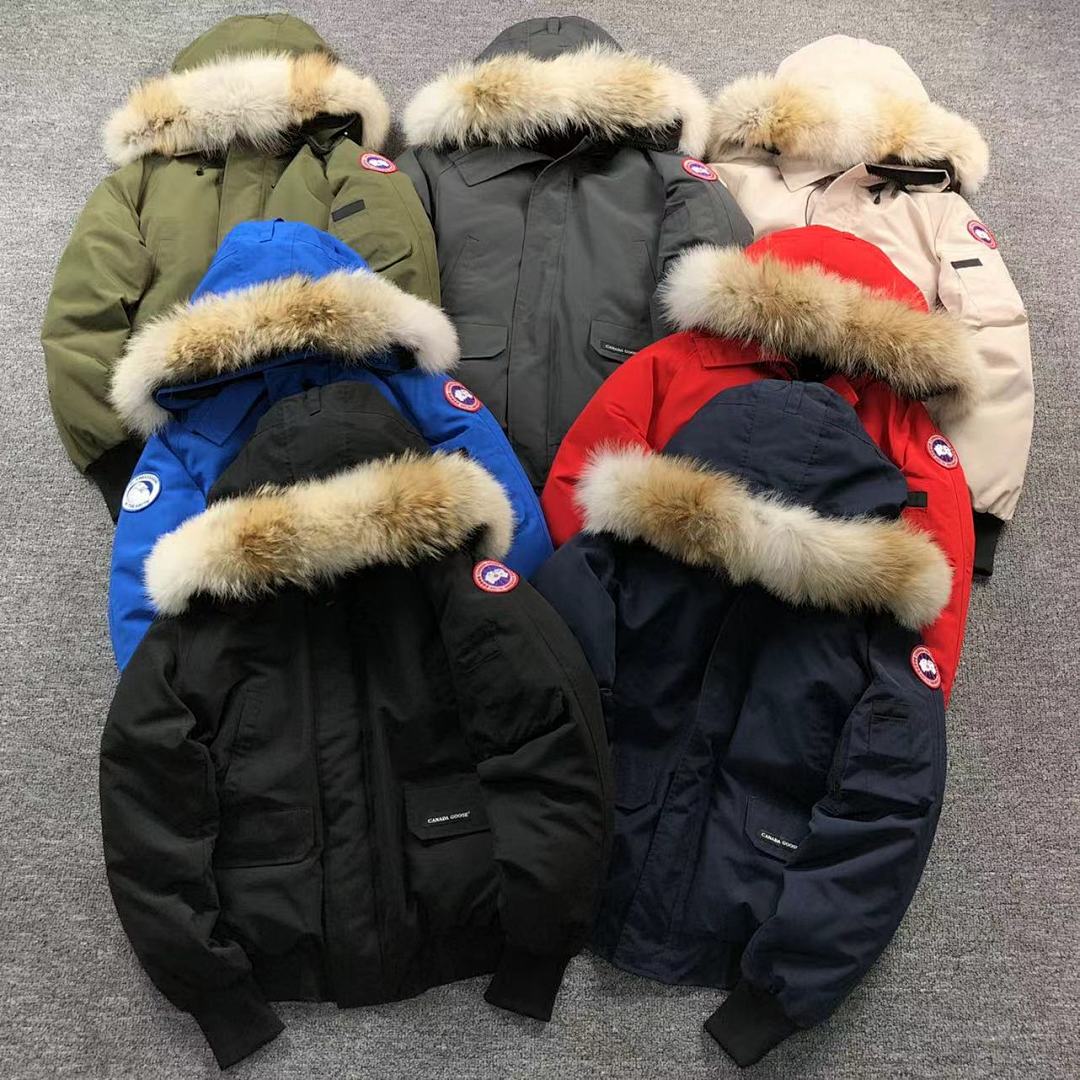 Canada Goose Canada Goose 498 C⭐N⭐⭐A G⭐⭐⭐E DOWN JACKETS 281203 (Im 170Cm 57Kg I Wear Size M In The Phot), photo 1
