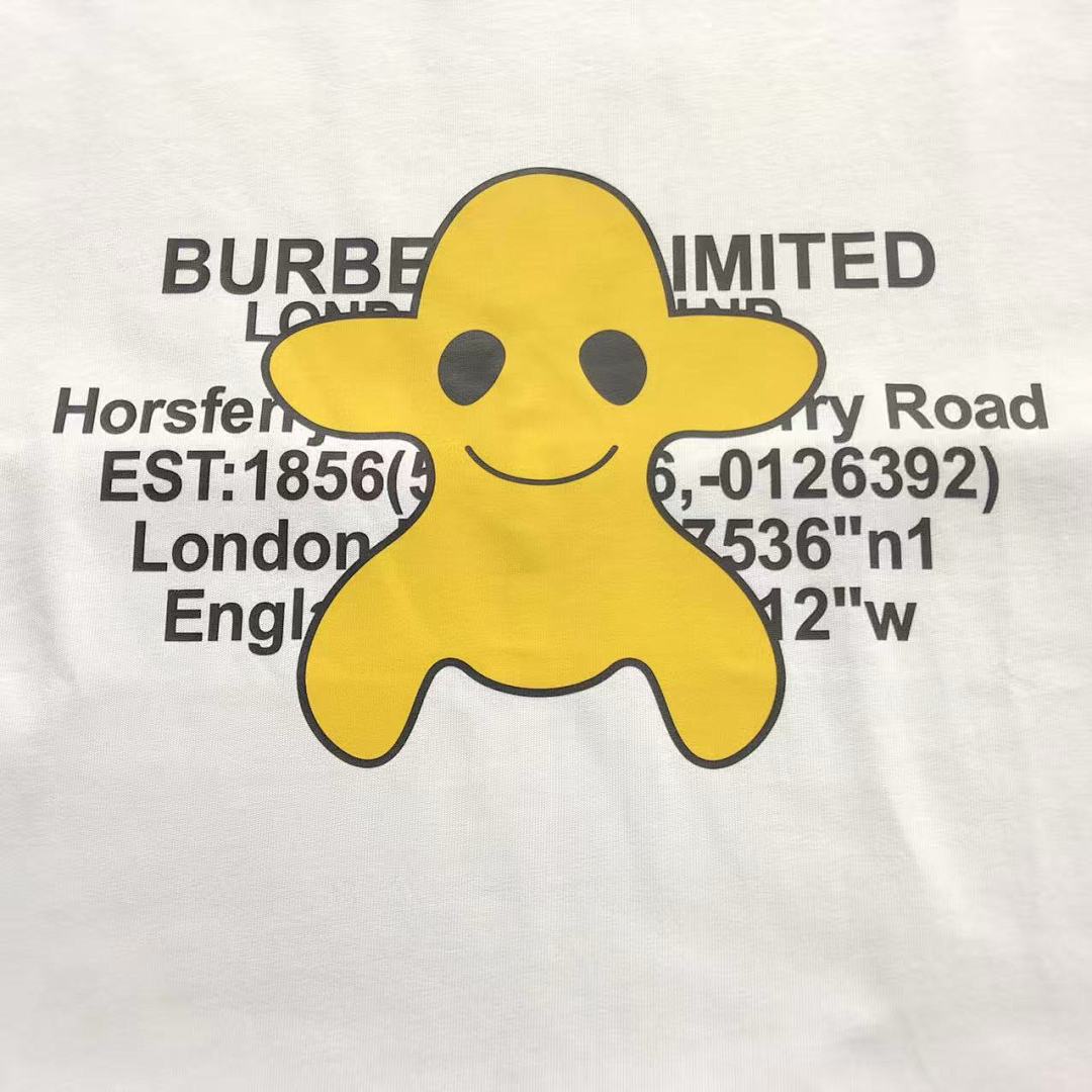 Burberry 128 B⭐R⭐E⭐RY T-SHIRT 3203053521 (Im 170Cm 60Kg I Wear Size M In The Phot) - Image 18
