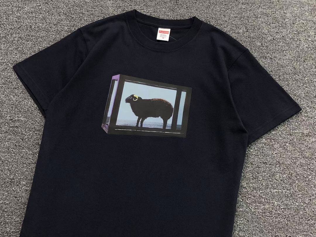Supreme 95 S⭐⭐R⭐⭐E T-SHIRT 123122002 (Im 170Cm 60Kg I Wear Size M In The Phot) - Image 17
