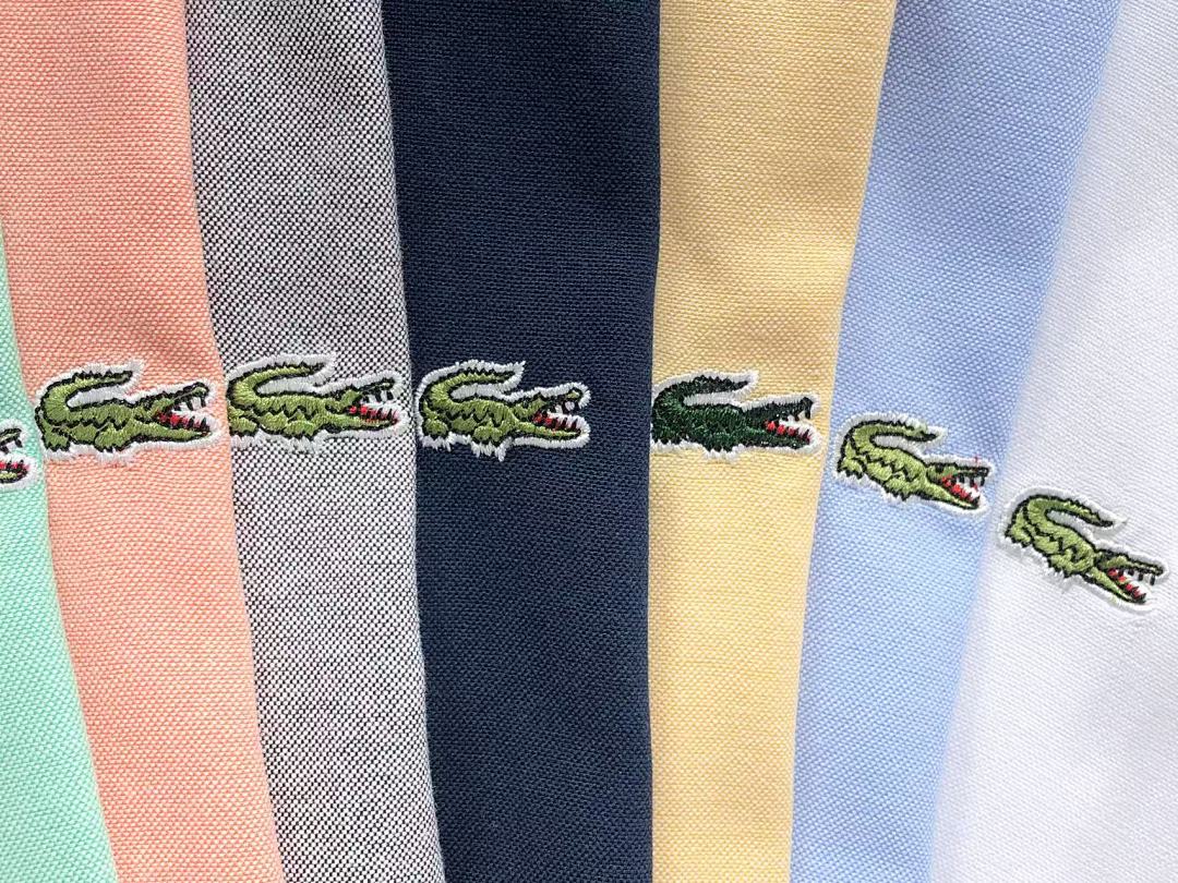 Lacoste 128 LACOSTE SHIRT 41040100221 (Im 170Cm 60Kg I Wear Size M In The Phot) - Image 28