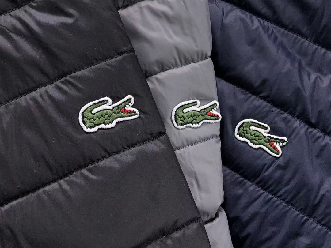 Lacoste 258 LACOSTE COTTON CIOTHES 22010607001 (Im 170Cm 60Kg I Wear Size M In The Phot) - Image 14