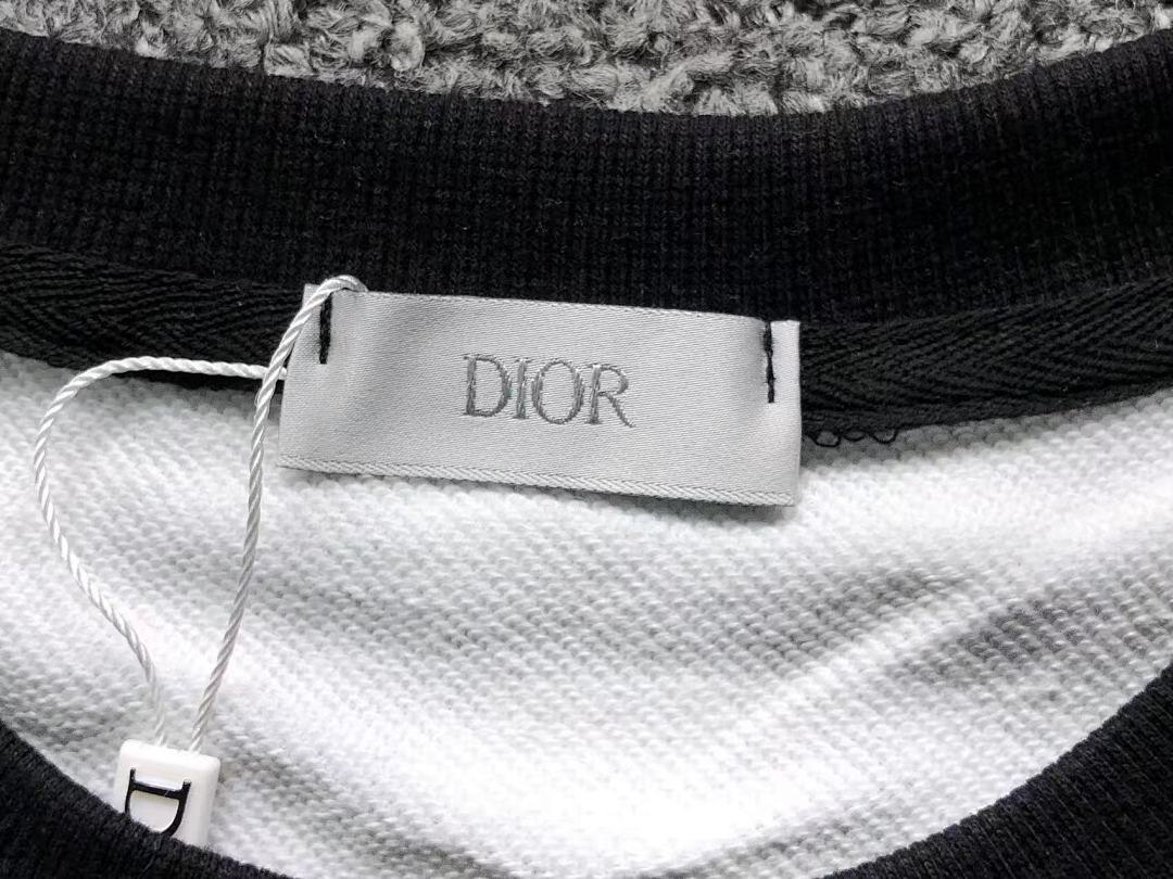 Dior 95 D⭐O⭐ HOODIE 1111142132 (Im 170Cm 60Kg I Wear Size L In The Phot) - Image 17