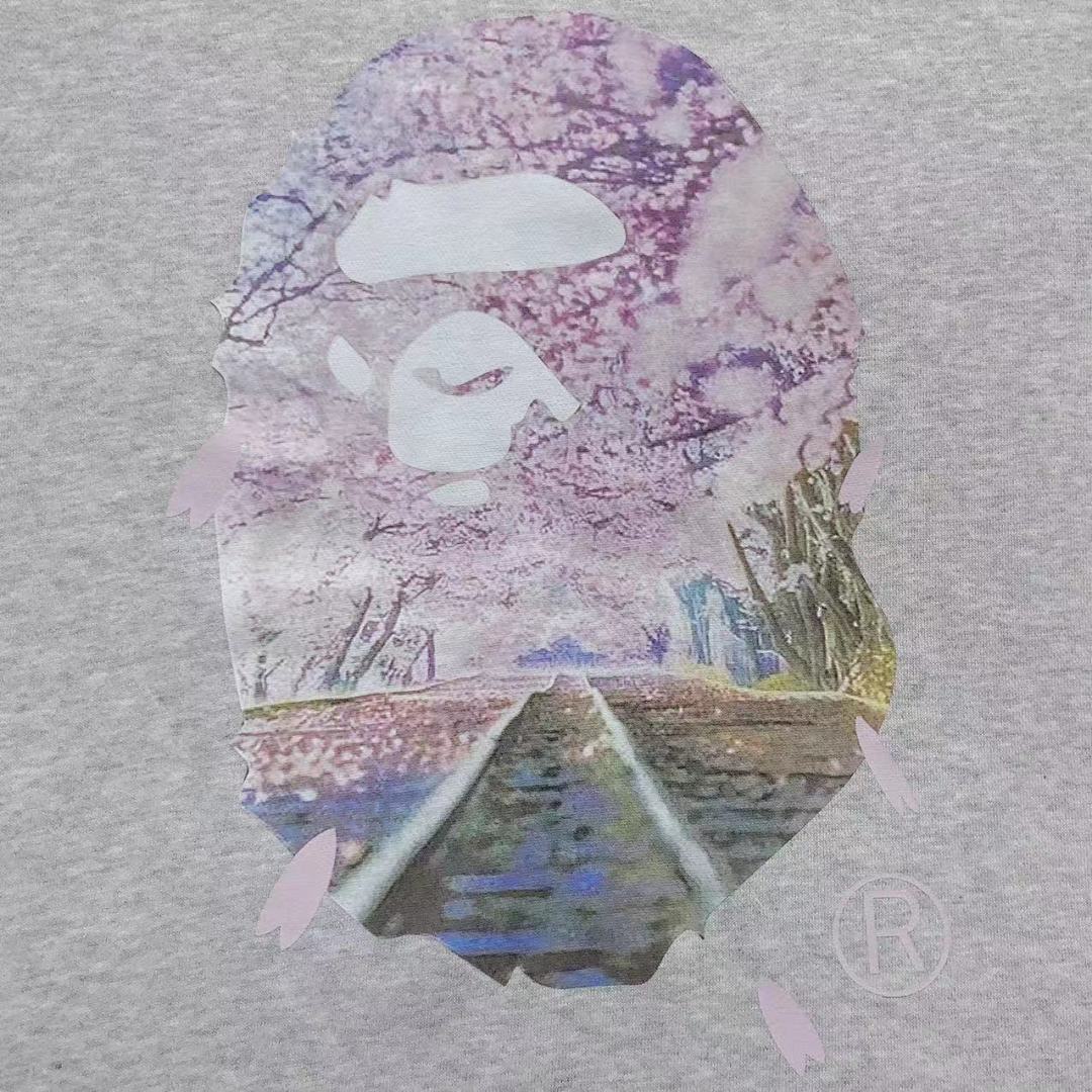 Bape 125 BAPE HOODIE 4111280717 (Im 170Cm 55Kg I Wear Size S In The Phot) - Image 17