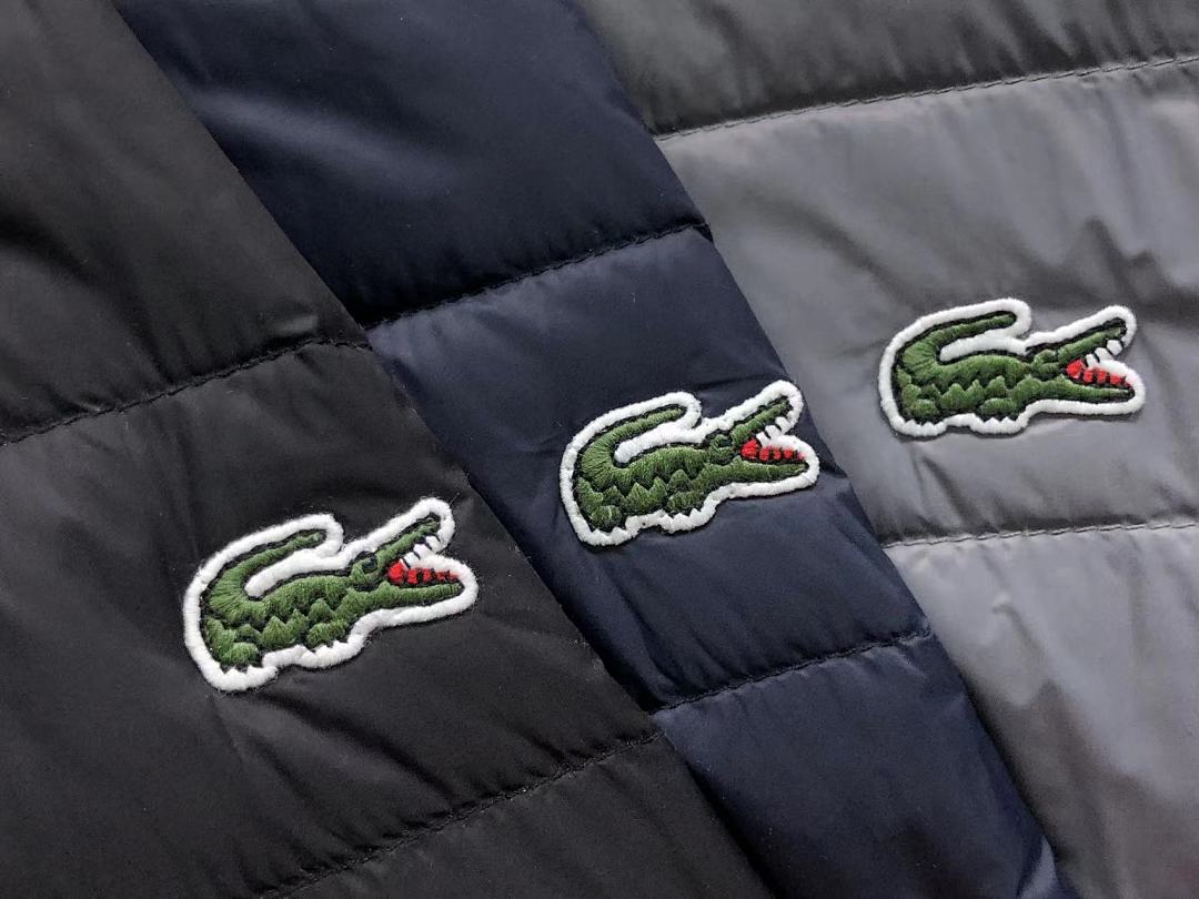Lacoste 238 LACOSTE COTTON CIOTHES 22010605001 (Im 170Cm 60Kg I Wear Size M In The Phot) - Image 14