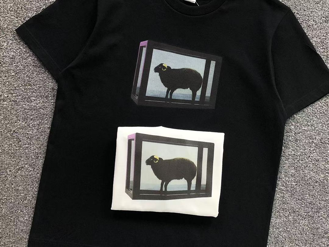 Supreme 108 S⭐⭐R⭐⭐E T-SHIRT 214174733 (Im 170Cm 60Kg I Wear Size M In The Phot) - Image 14