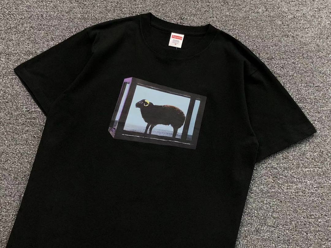 Supreme 95 S⭐⭐R⭐⭐E T-SHIRT 123122002 (Im 170Cm 60Kg I Wear Size M In The Phot) - Image 21
