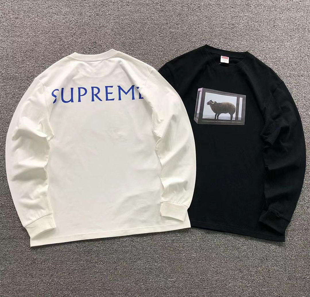 Supreme 95 S⭐⭐R⭐⭐E LONG SLEEVED 581211123 (Im 170Cm 60Kg I Wear Size M In The Phot)