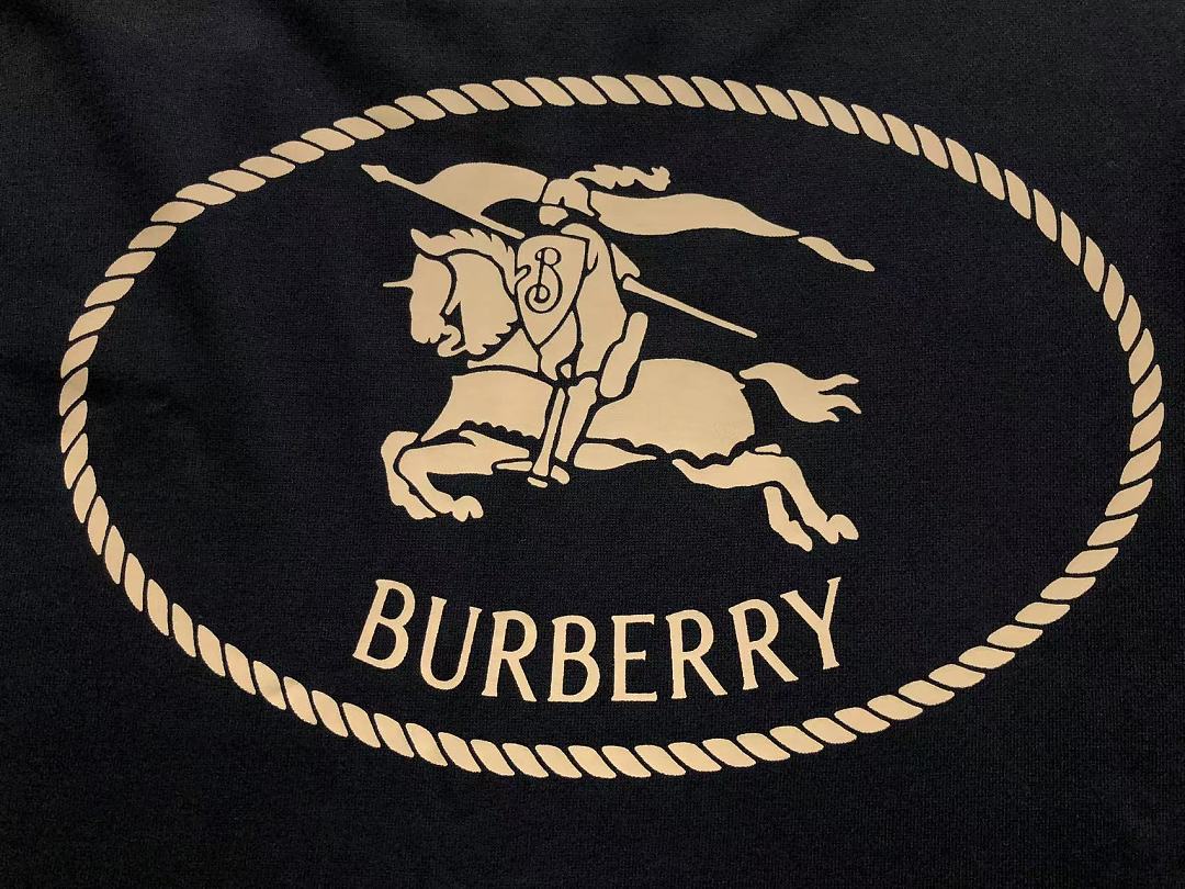 Burberry 158 B⭐R⭐E⭐RY HOODIE 128250208 (Im 170Cm 60Kg I Wear Size S In The Phot) - Image 8