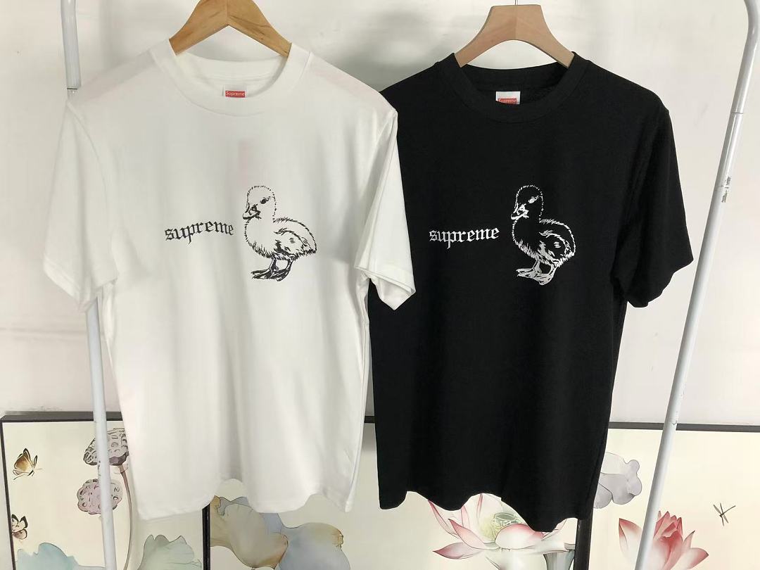 Supreme 145 S⭐⭐R⭐⭐E T-SHIRT 42062405001 (Im 170Cm 60Kg I Wear Size M In The Phot) - Image 19