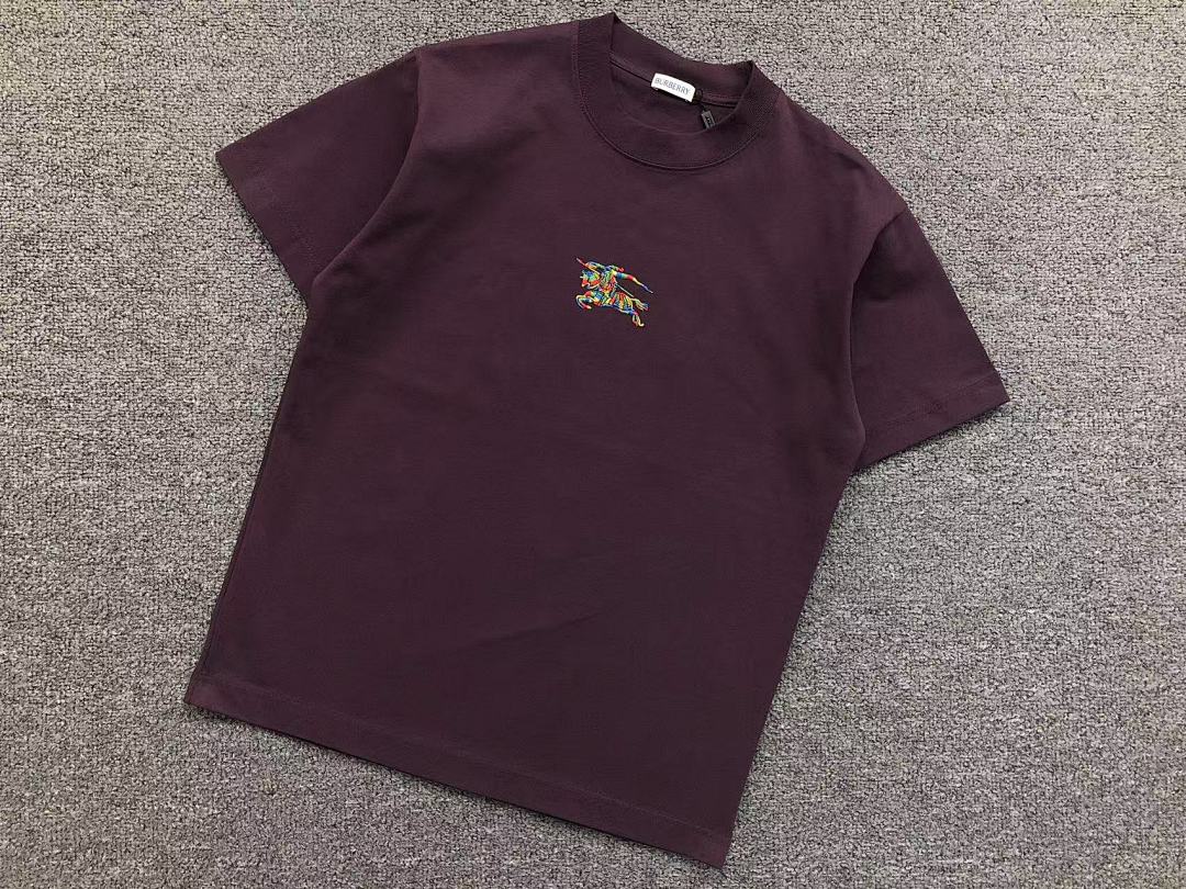 Burberry 95 B⭐R⭐E⭐RY T-SHIRT 56241981 (Im 170Cm 60Kg I Wear Size S In The Phot) - Image 12