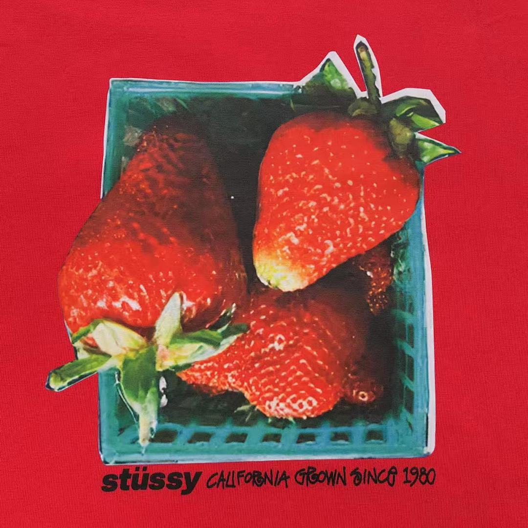 Stussy 78 STUSSY T-SHIRT 3106261502 (Im 170Cm 60Kg I Wear Size L In The Phot) - Image 18