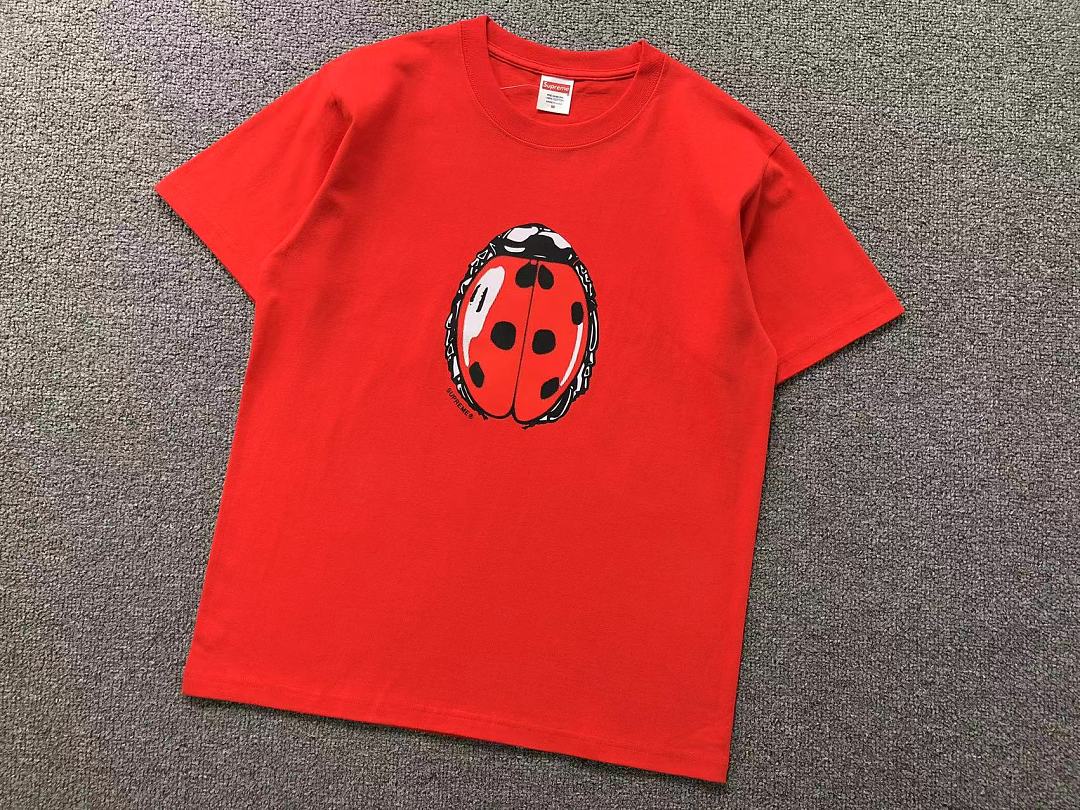 Supreme 98 S⭐⭐R⭐⭐E T-SHIRT 4207211302 (Im 170Cm 60Kg I Wear Size M In The Phot) - Image 10