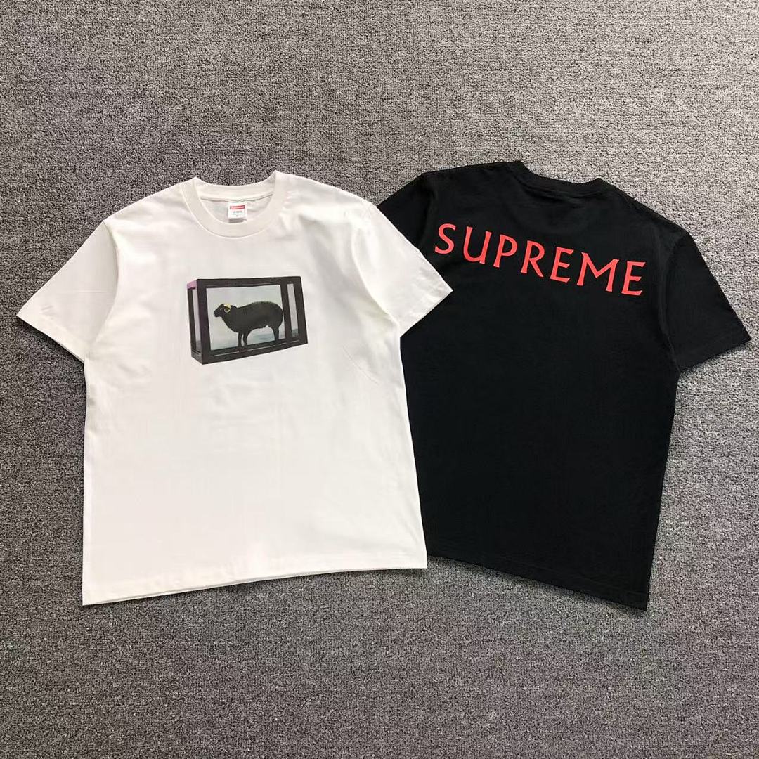 Supreme 108 S⭐⭐R⭐⭐E T-SHIRT 214174733 (Im 170Cm 60Kg I Wear Size M In The Phot)