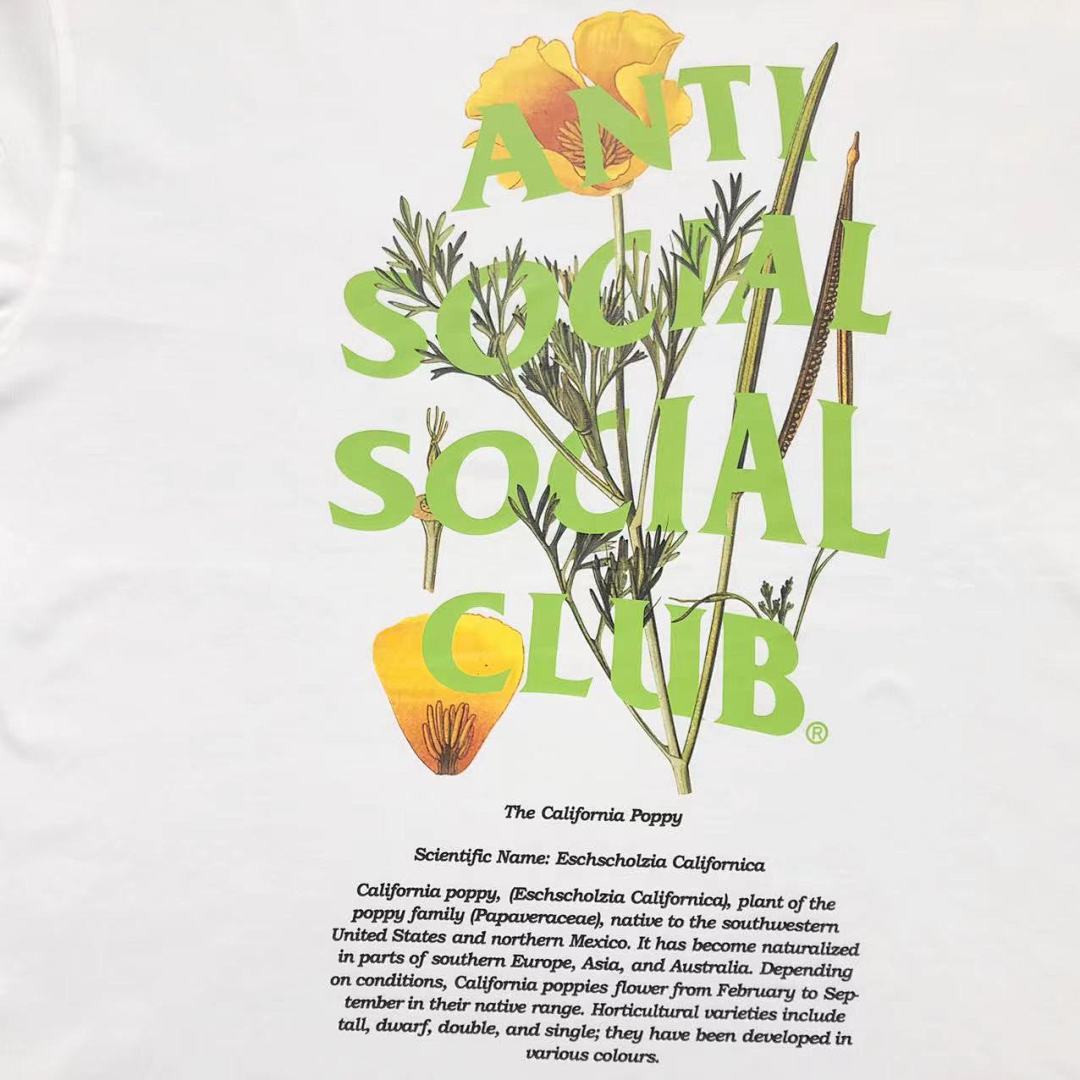 Christian Louboutin 85 ANTI SOCIAL CLUB T-SHIRT - Image 13