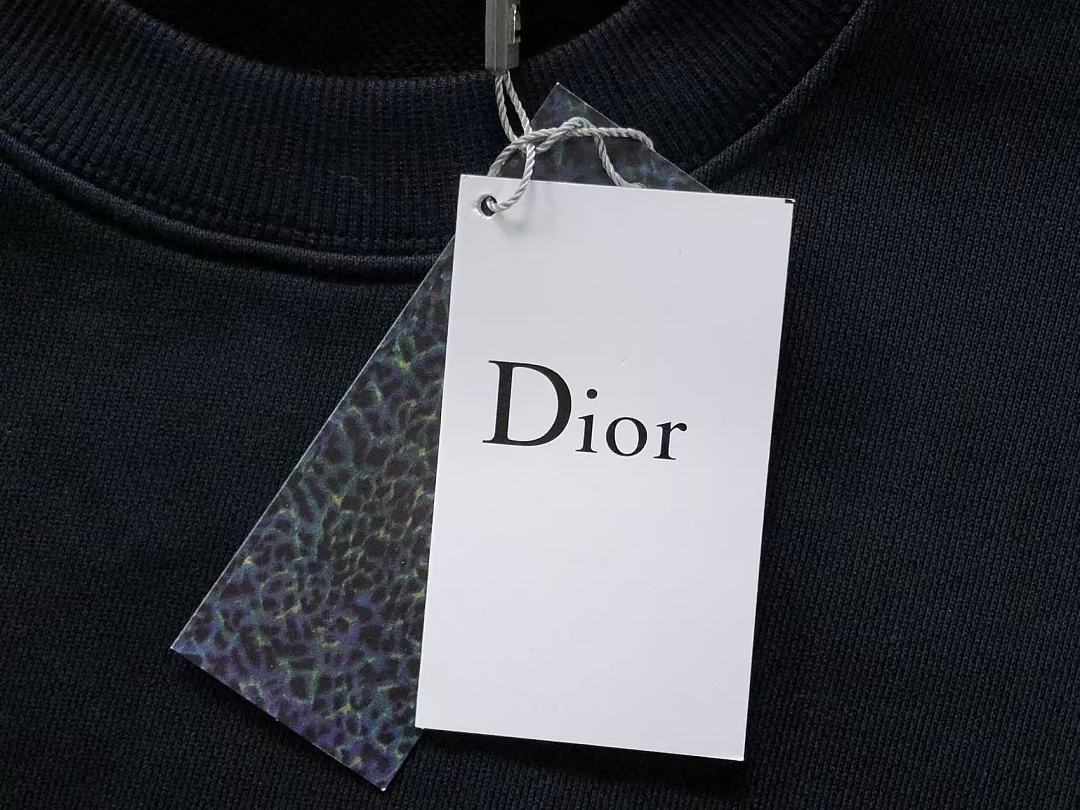 Dior 178 D⭐O⭐ HOODIE 3209071621 (Im 170Cm 60Kg I Wear Size L In The Phot) - Image 20