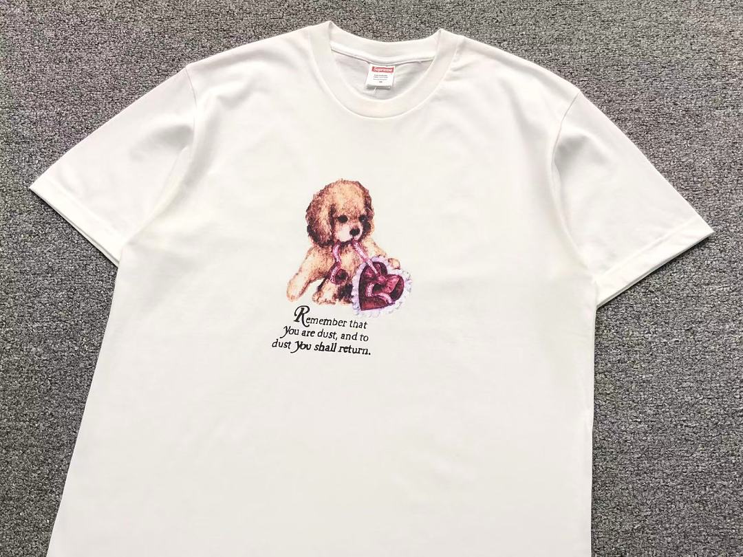 Supreme 98 S⭐⭐R⭐⭐E T-SHIRT 3205152233 (Im 170Cm 60Kg I Wear Size M In The Phot) - Image 14