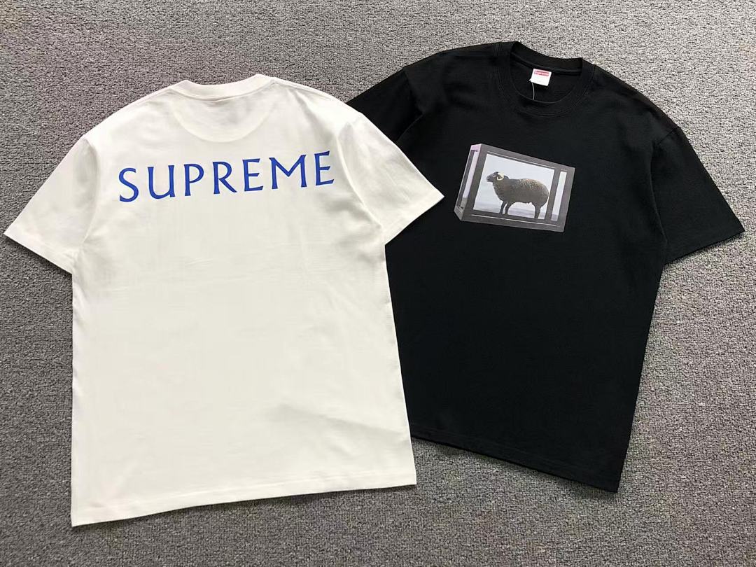 Supreme 78 S⭐⭐R⭐⭐E T-SHIRT 41061015123 (Im 170Cm 60Kg I Wear Size M In The Phot) - Image 5