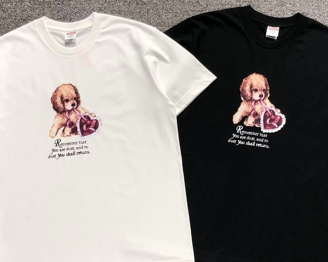 Supreme 98 S⭐⭐R⭐⭐E T-SHIRT 3205152233 (Im 170Cm 60Kg I Wear Size M In The Phot) - Image 6