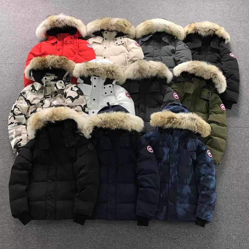 Canada Goose Canada Goose 538 C⭐N⭐⭐A G⭐⭐⭐E DOWN, photo 1