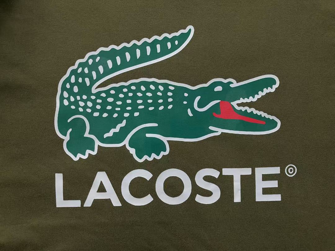Unbranded 128 LACOSTE T-SHIRT 2203074501 (Im 170Cm 60Kg I Wear Size 2XL In The Phot) - Image 18
