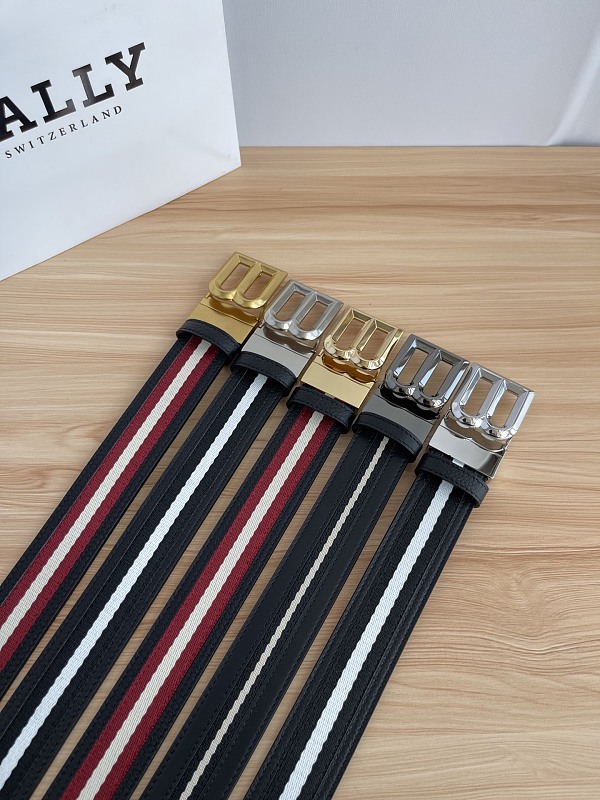 【Belt】 【Belt】 B-221, photo 1