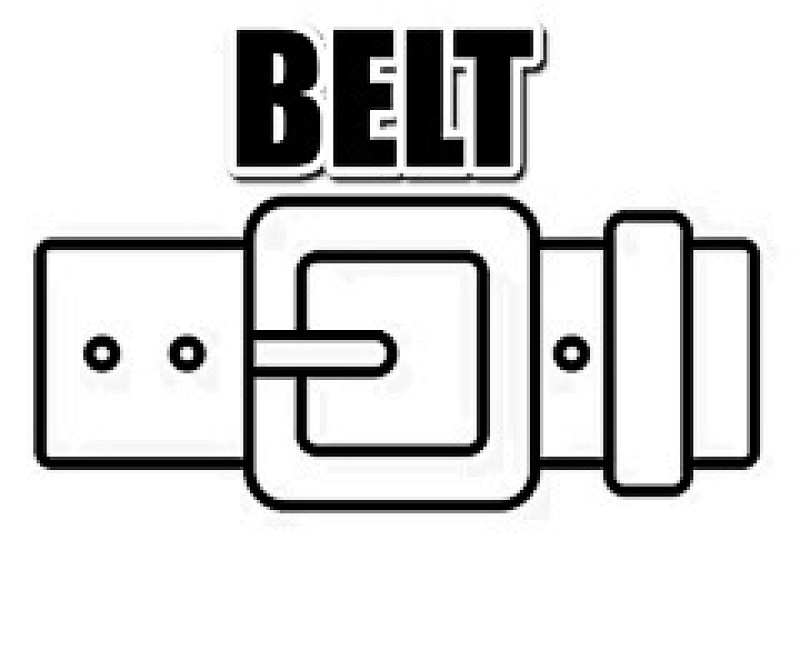 Other BELT (Leather Strap), photo 1