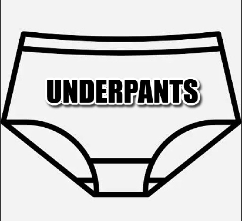 UNDERPANTS, photo 1