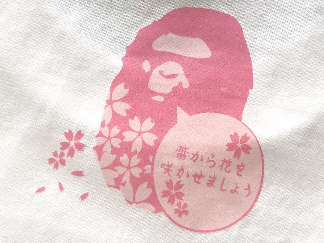 Other ~75 BAPE T-SHIRT 66071412 (Im 185CM 70KG Iwear Size M In The Photo) - Image 12