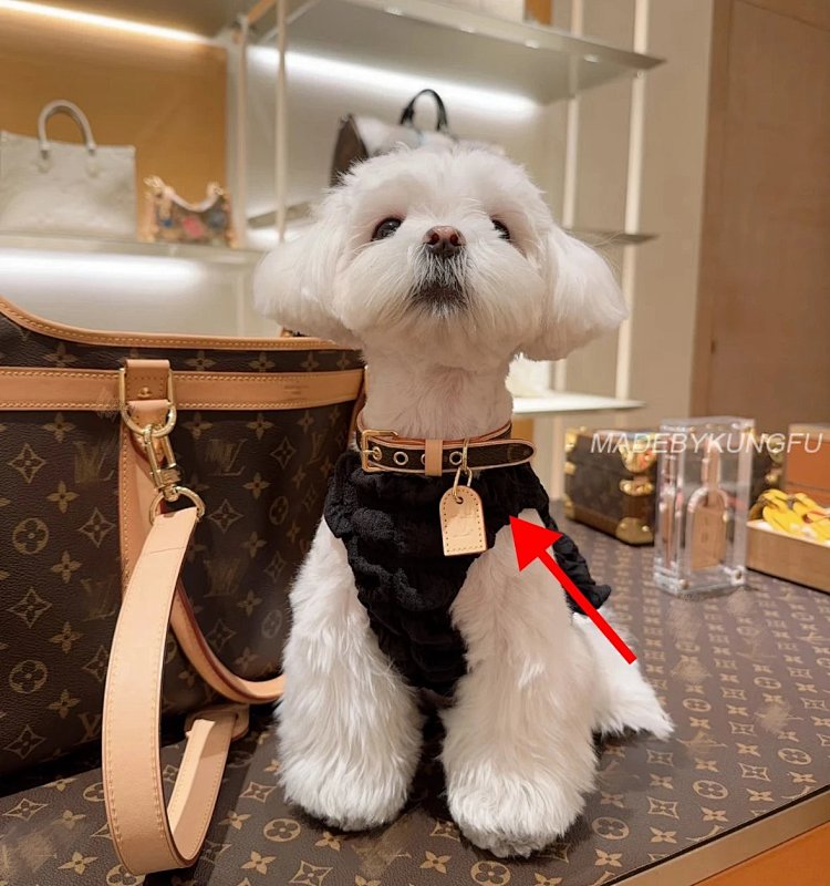 【A+ 【A+ Item ID 8382 Pet Preference Circle -“ Adjustable Traction Rope ” Imported Presbyopi, photo 1