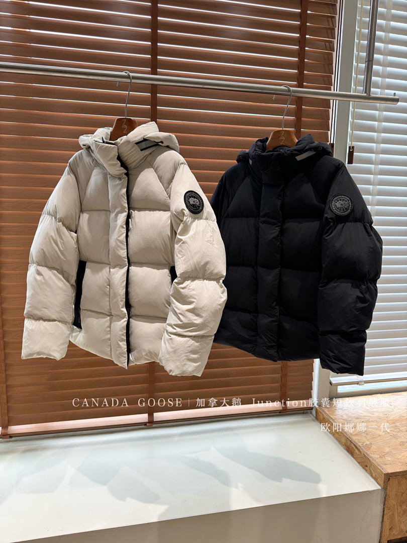 Other CG Junction Hooded Down Jacket - Image 16