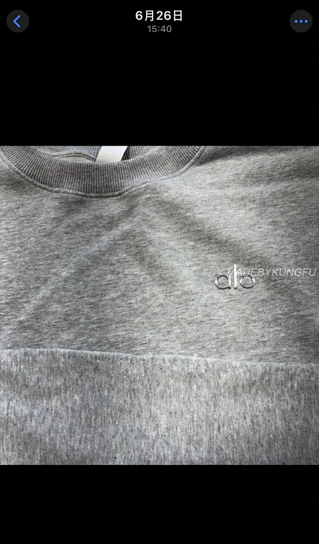 【A+ Item ID 8067 Alo-Logo Logo Crew Neck Loose Long Sleeve Sweatshirt (Black White) - Image 41