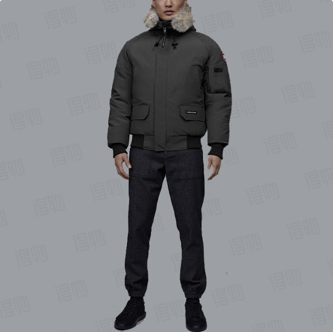 Other CG Chilliwack Down Jacket - Image 6