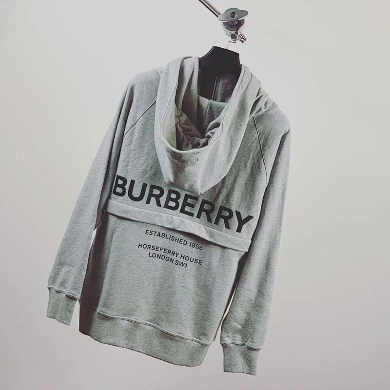 Bur Grey Zipper Hoodie, photo 1