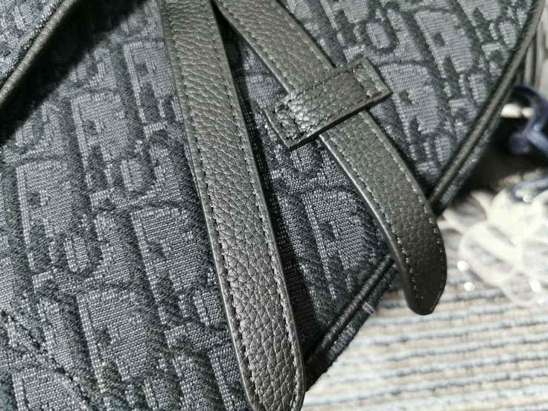 Other Saddle CD Oblique Bag - Image 11