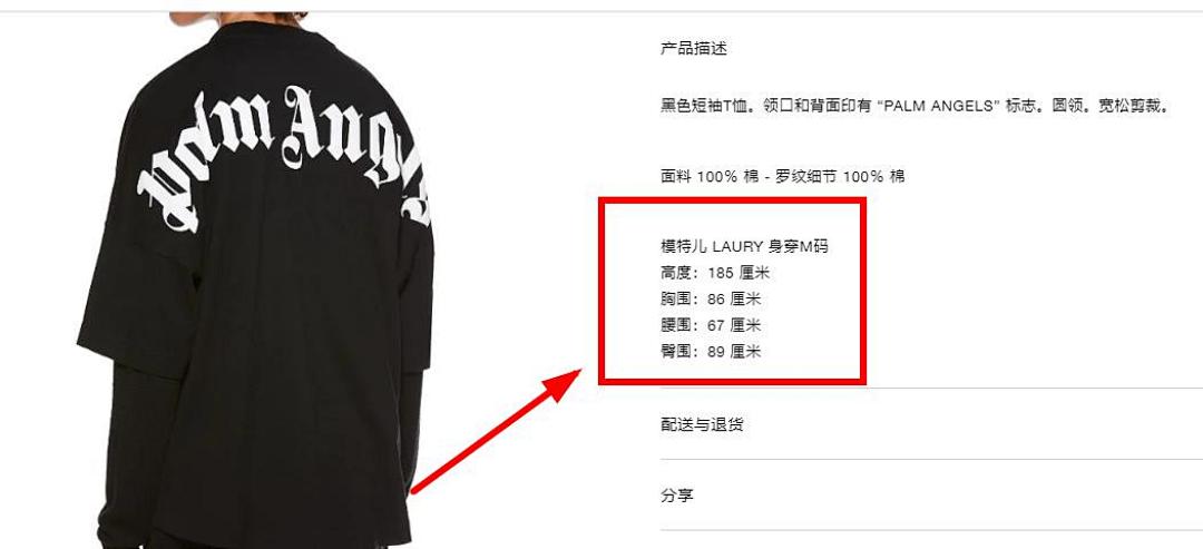 Other AML Classcial Back Logo Tee - Image 13