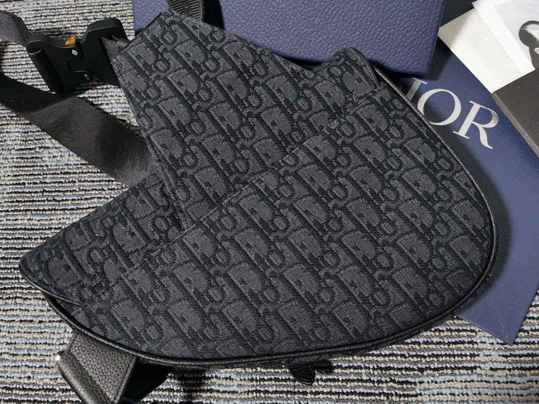 Other Saddle CD Oblique Bag - Image 14