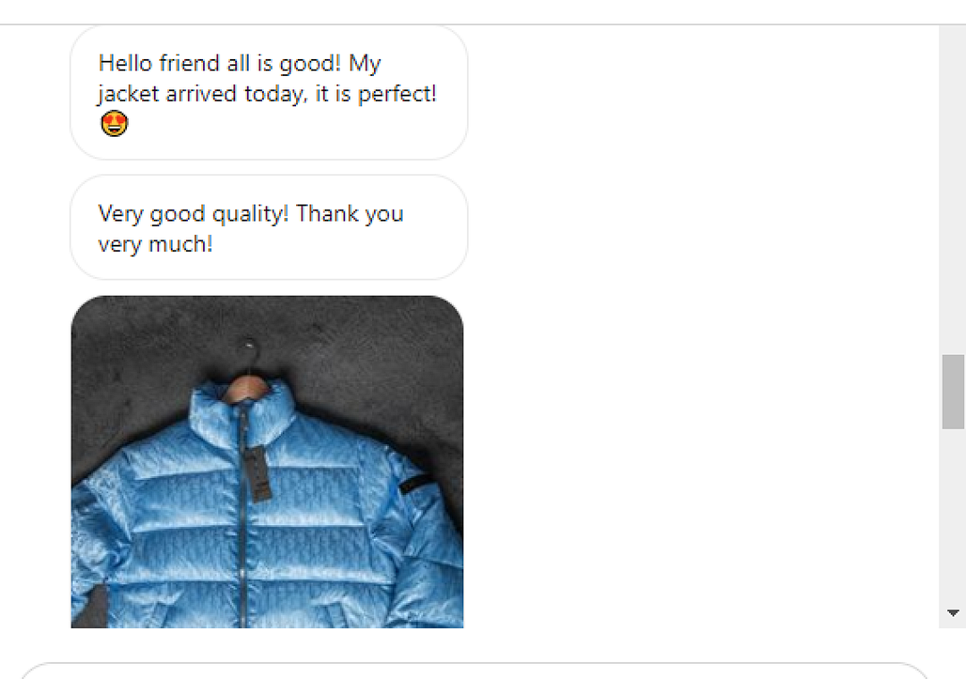 Other BLUE DD Goose DOWN PUFFER JACKET - Image 5