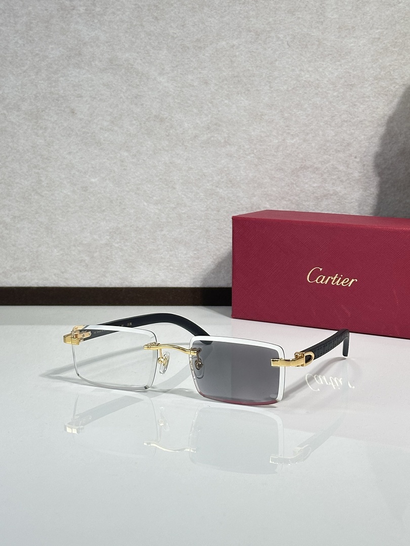 CartierMOD:CT01672OSIZE 57 20, photo 1
