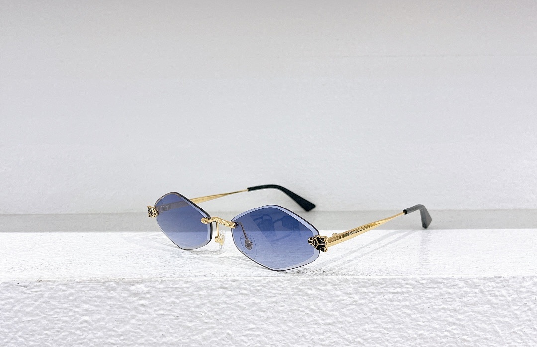 CartierMODEL:CT0433SSIZE:55 20-140_, photo 1