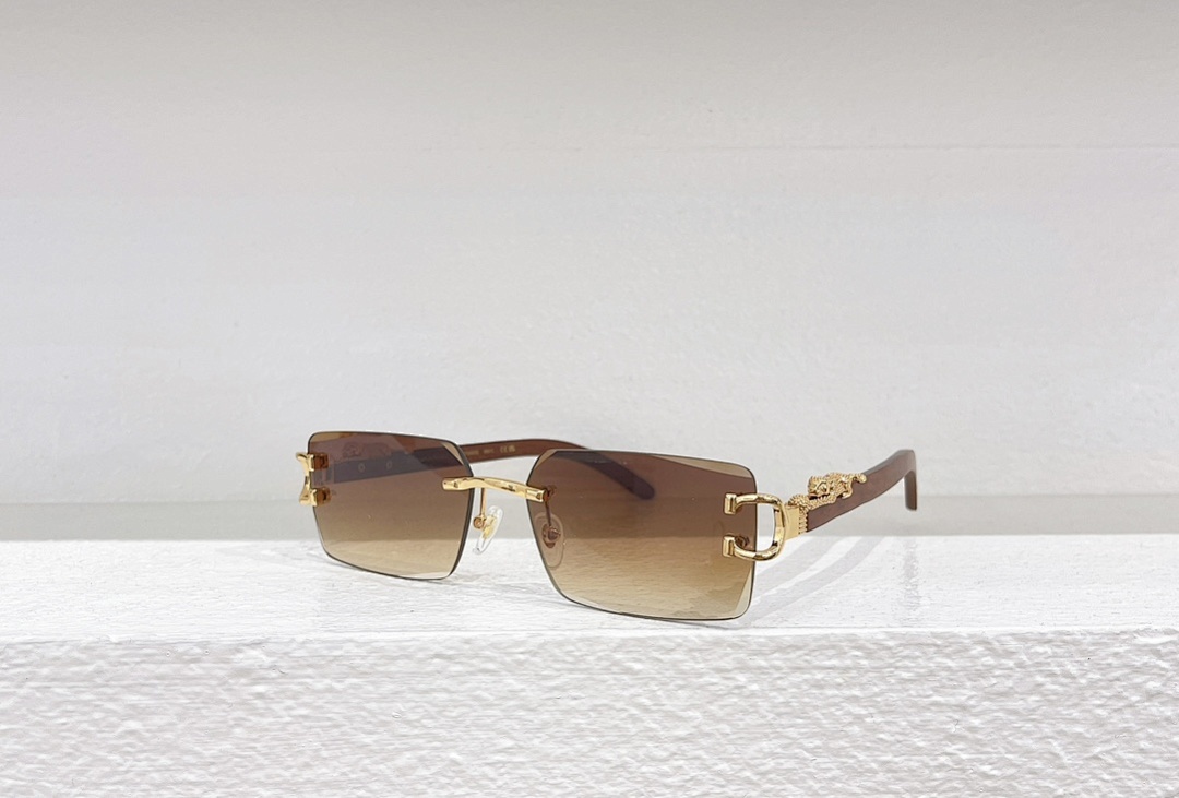 Other CartierMODEL:CT0560S SIZE 60 17-143_, photo 1