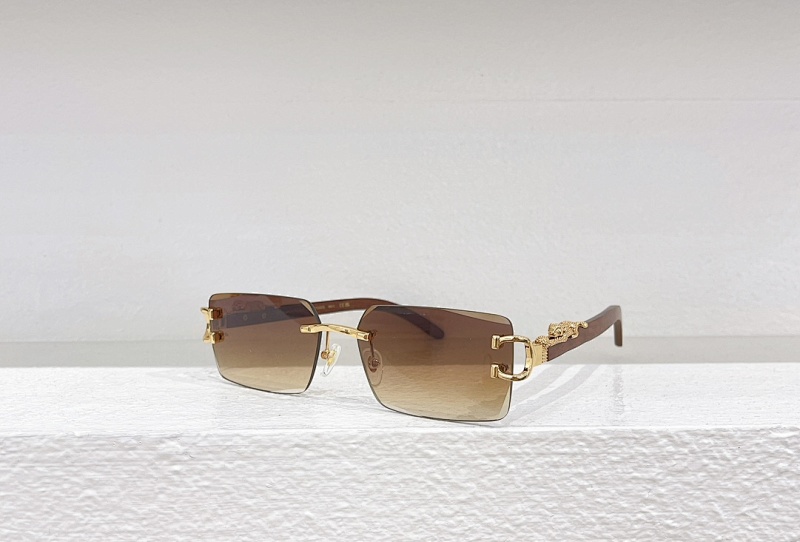 Other CartierMODEL:CT0560S SIZE 60 17-143_, photo 1