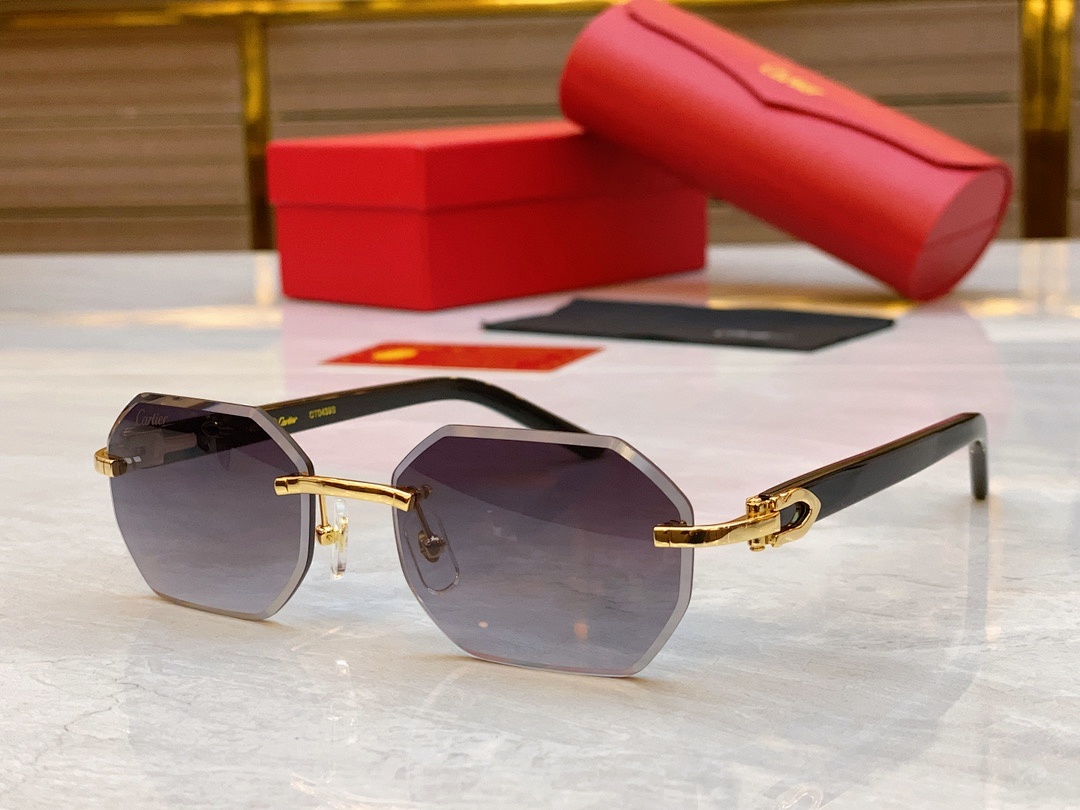 CartierMODEL:CT0439S,SIZE:57, photo 1