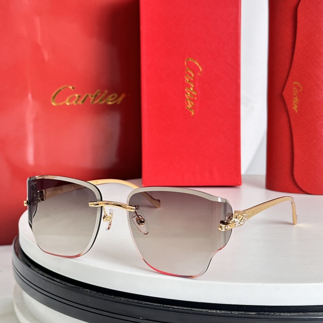 CartierMODEL:CT0546SSIZE:59 17-130_, photo 1