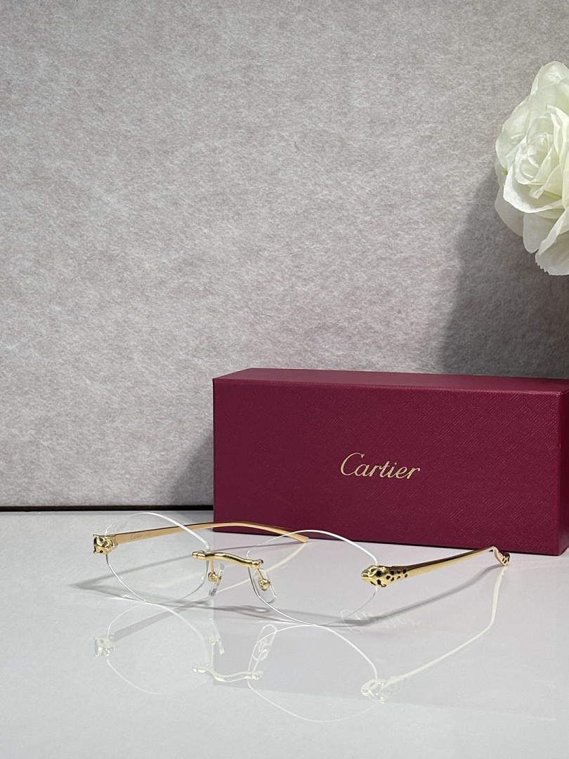 CartierMOD:CT0637SSize:140, photo 1