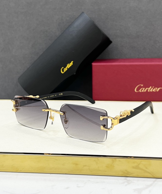 CartierMODEL:CT0560Size:60, photo 1