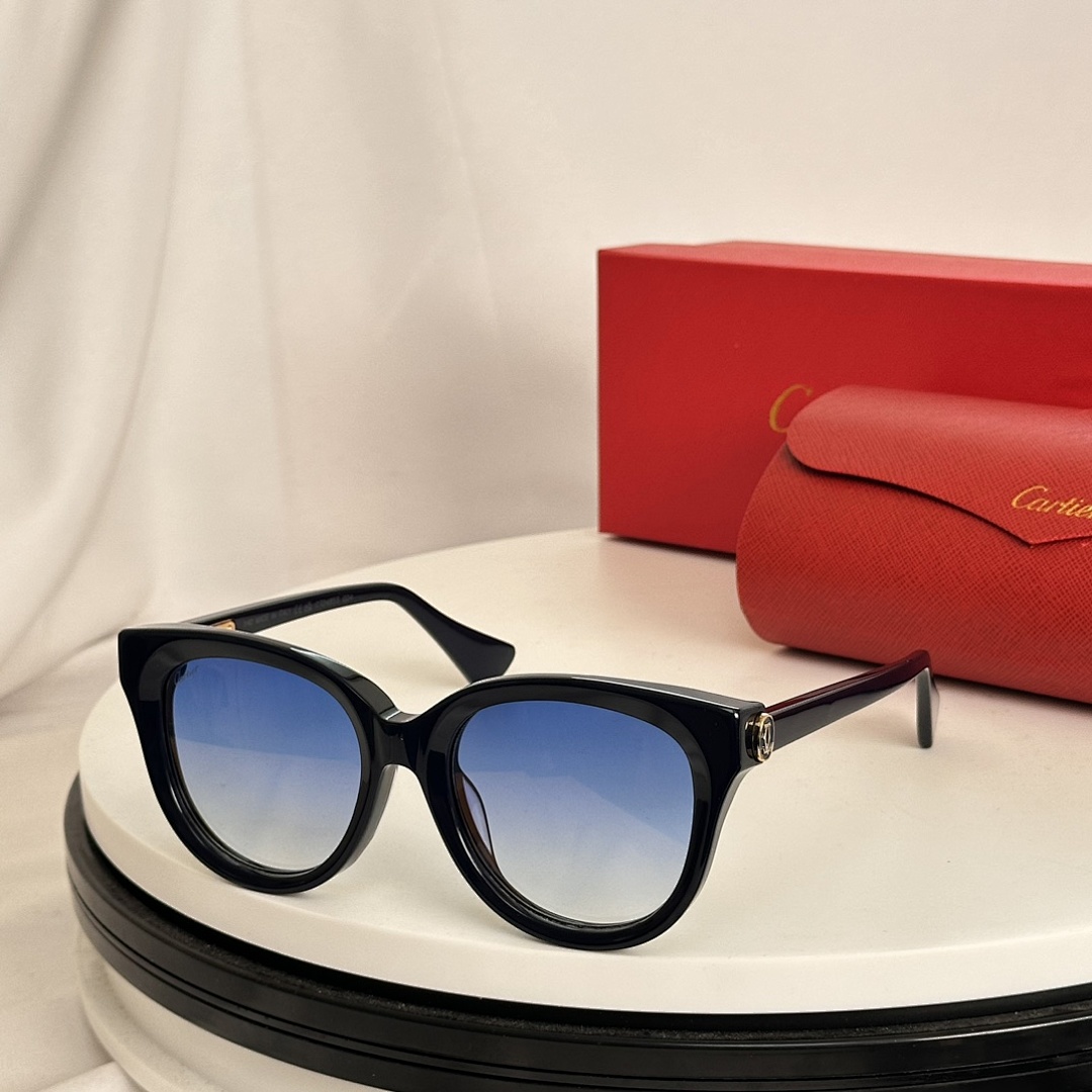 CartierMODEL:CT0485SSIZE 55 19-140_, photo 1