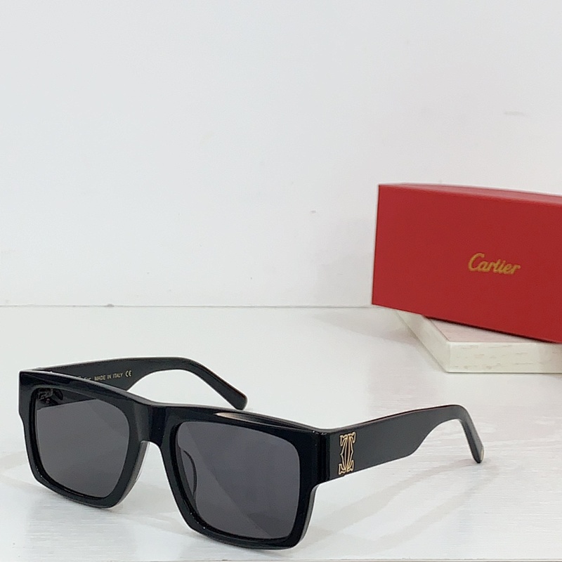 Other CartierMODEL:CT0483SSIZE 53 20-140_, photo 1