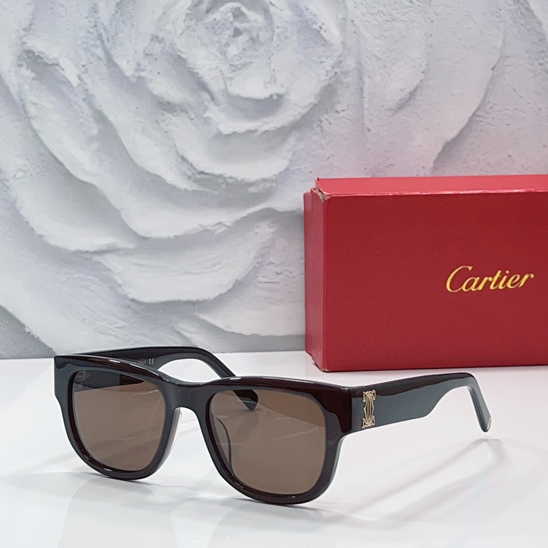 Other CartierMODEL:CT0489SSIZE 52 20-140_, photo 1