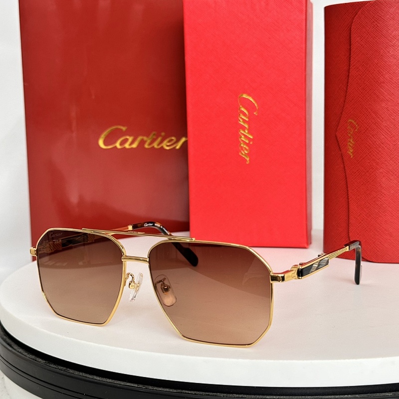 CartierMODEL:CT0521SSIZE:61, photo 1